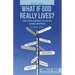 What If God Really Lives?: The Case for Why to Go on Living Anyway!