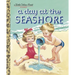 A Day at the Seashore