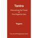 Tantra: Discovering the Power of Pre-Orgasmic Sex