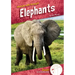 Elephants