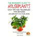 The Beginner's Guide to Houseplants: Easy Tips and Techniques for Growing Houseplants in Your Home
