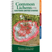 Common Lichens of the Eastern United States: Easily Identify 58 Widespread Types