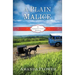 A Plain Malice