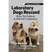Laboratory Dogs Rescued: From Test Subjects to Beloved Companions