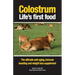 Colostrum Life's first food: The ultimate anti-aging, immune boosting and weight loss supplement