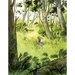 Clover: A Picture Book