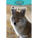 Coyotes