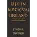 Life in Medieval Ireland