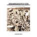 African American Healthy Self-Esteem: Understanding Why Low Self Esteem in African Americans Occur and How to Elevate Self-Esteem