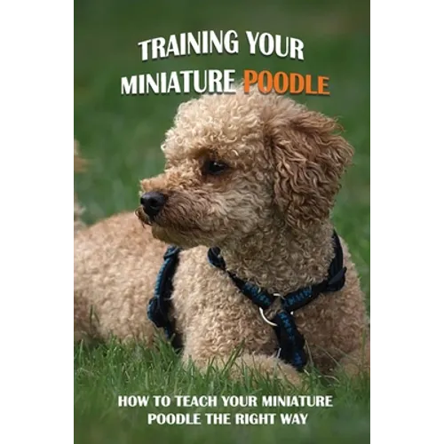 Training Your Miniature Poodle: How To Teach Your Miniature Poodle The Right Way: Basic Training For Miniature Poodle Breed