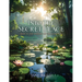 Into the Secret Place: Abide in the Shadow of the Almighty