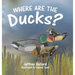 Where Are the Ducks?