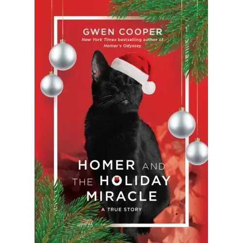 Homer and the Holiday Miracle: A True Story