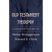 Old Testament Theology: Canon or Testimony