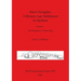 Duos Nuraghes - A Bronze Age Settlement in Sardinia: Volume 1 - The Interpretive Archaeology