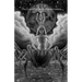 Lil Az H Az Lil: The Grimoire of the Arachnean Goddess