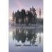 Reflections, Remorse, and Revelations