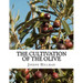 The Cultivation of the Olive: A Short Treatise With Special Reference to Fertilization