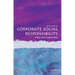 Corporate Social Responsibility: A Very Short Introduction