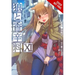 Spice and Wolf, Vol. 11 (Light Novel): Side Colors II