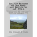 Sullivan Families of Fall River and Bristol Co. MA - Vol. 6: Descendants of Immigrants born 1845 to 1870