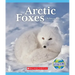 Arctic Foxes (Nature's Children)