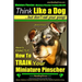 Miniature Pinscher, Miniature Pinscher Training AAA AKC Think Like a Dog But Don't Eat Your Poop! Miniature Pinscher Breed Expert Training: Here's EXA