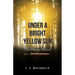 Under a Bright Yellow Sun: The Bronze Sword