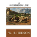 A Shepherd's Life