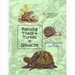 Painting Toads & Turtles in Gouache