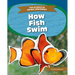 How Fish Swim