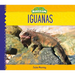 Iguanas