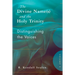 The Divine Name(s) and the Holy Trinity, Volume One: Distinguishing the Voices