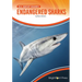 Endangered Sharks