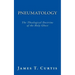 Pneumatology: The Theological Doctrine of the Holy Ghost