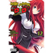 High School DXD, Vol. 12 (Light Novel): Volume 12