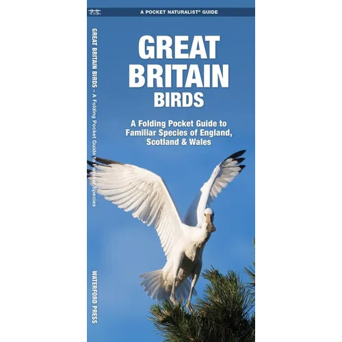 Great Britain Birds: A Folding Pocket Guide to Familiar Species of England, Scotland & Wales