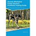 German Wirehaired Pointer (Deutsch Drahthaar) Training Guide German Wirehaired Pointer Training Includes: German Wirehaired Pointer Tricks, Socializin