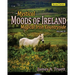 Magical Irish Countryside: Mystical Moods of Ireland, Vol. III