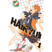 Haikyu!!, Vol. 1: Hinata and Kageyama