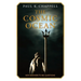 The Cosmic Ocean: New Answers to Big Questions