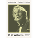 Invisible Mending: The Best of C. K. Williams