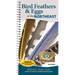Bird Feathers & Eggs of the Northeast: Identify 40 Species of Common Backyard Birds