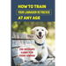 How To Train Your Labrador Retriever At Any Age: The Ultimate Guide For Every Owner: Clicker Training Lab Retriever Guide