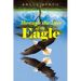 Through the Eyes of the Eagle