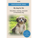 Havanese Dog: Education, training, character of Havanese Dogs - The Havanese Book