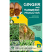 Ginger and Turmeric Production: Improved Technologies