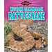 Western Diamondback Rattlesnake