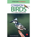 Common Birds of the Indian Subcontinent