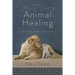 Animal Healing: Hands-On Holistic Techniques